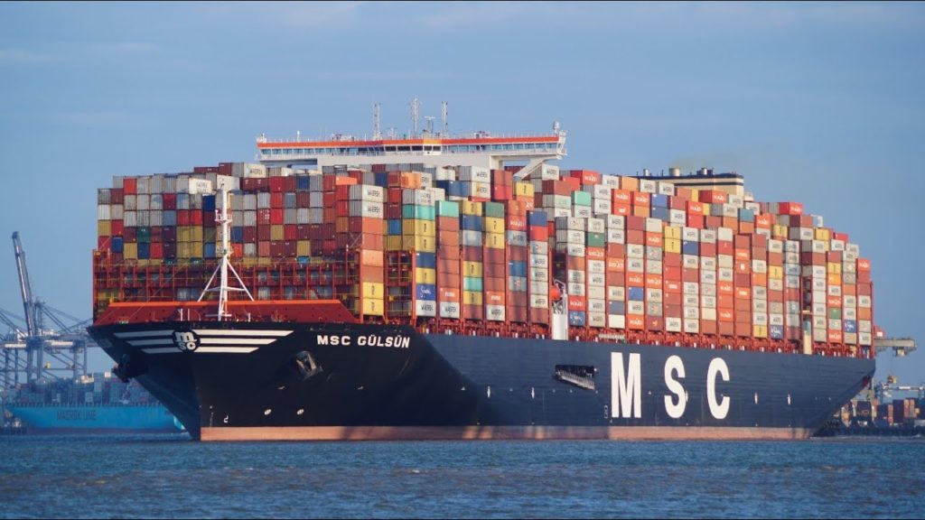 hang-tau-msc