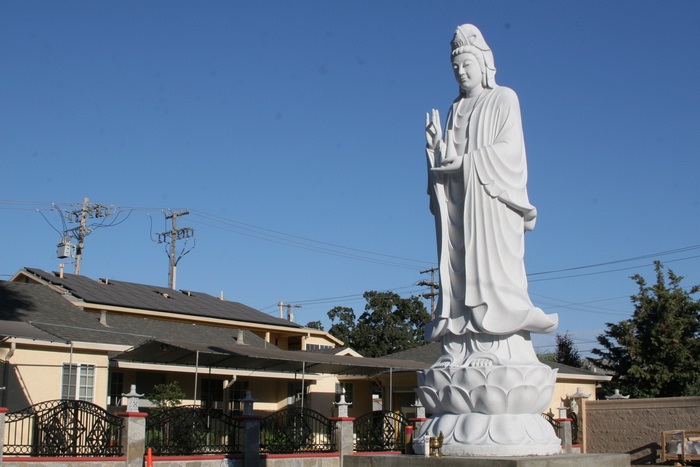 van-chuyen-tuong-phat-quoc-te-sieu-nhanh-va-chuyen-nghiep 