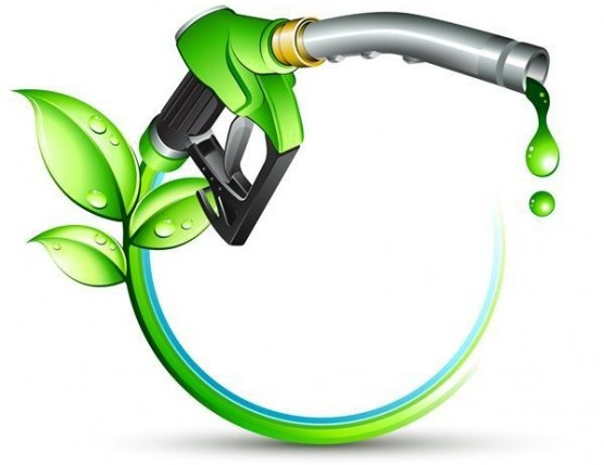 VOV1 | BAN THỜI SỰ VOV1